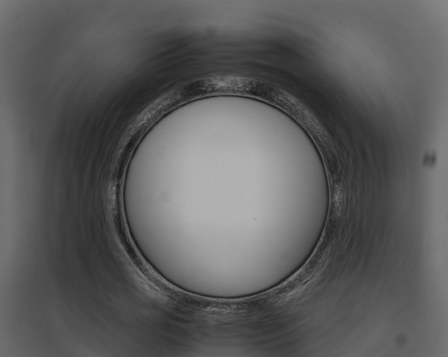 X0000096700725200802051100