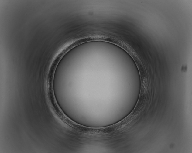 X0000096700726200802051100