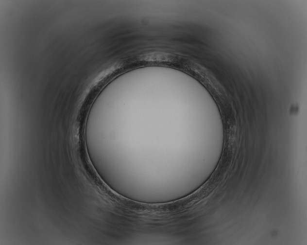 X0000096700727200802051100