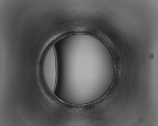 X0000096700728200802051100