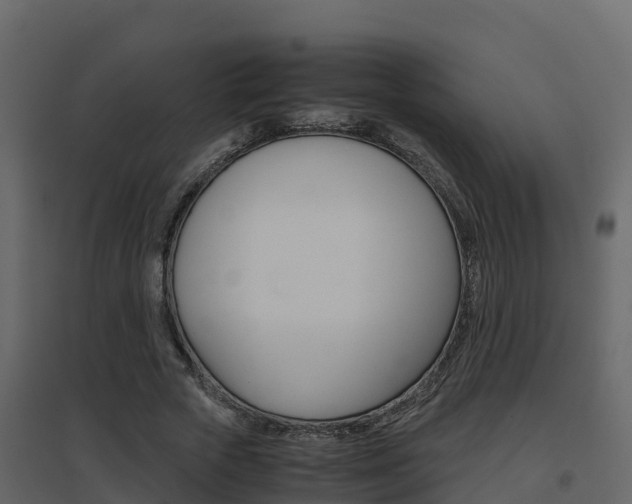 X0000096700729200802051100