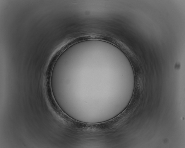 X0000096700730200802051100