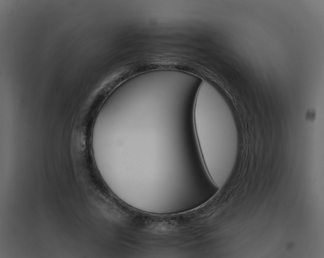 X0000096700731200802051100