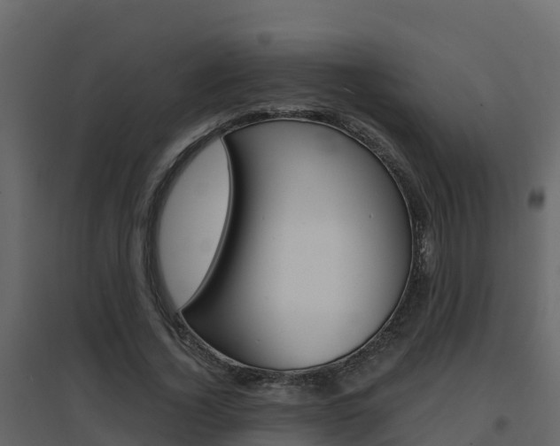 X0000096700732200802051100