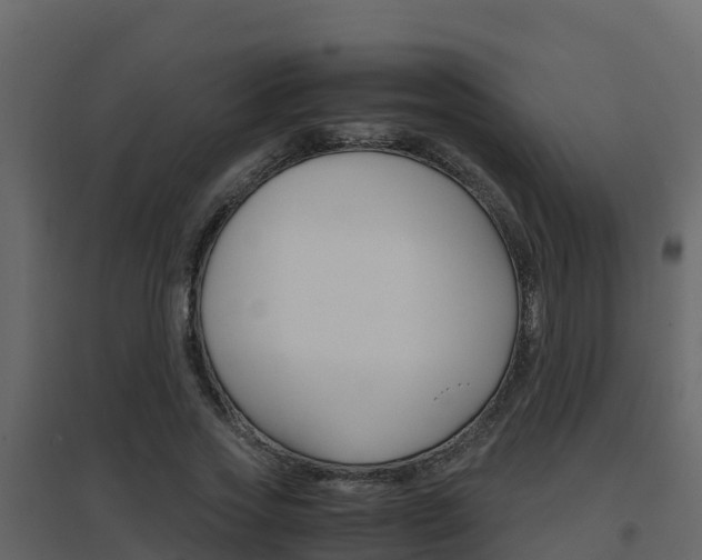 X0000096700733200802051100