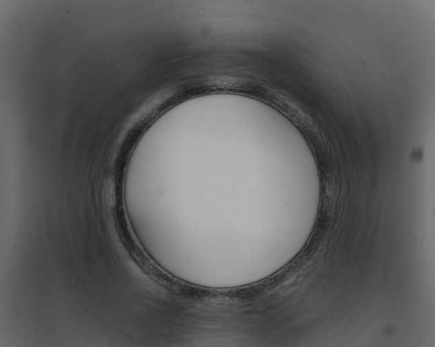 X0000096700734200802051101