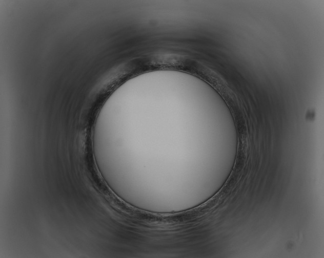 X0000096700735200802051101