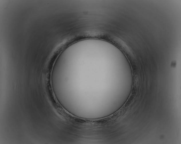 X0000096700736200802051101