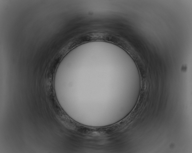 X0000096700737200802051101