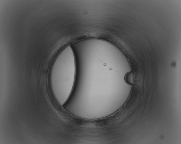 X0000096700738200802051101
