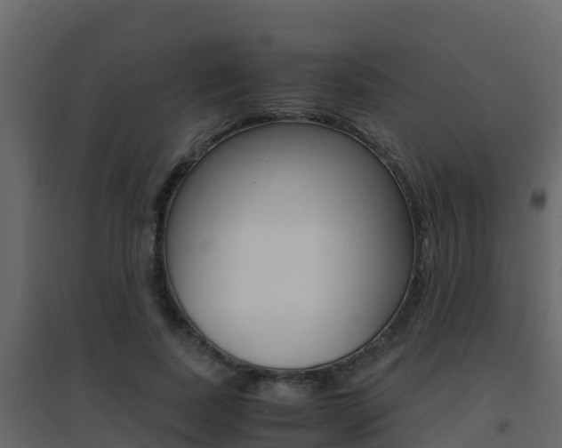 X0000096700739200802051101