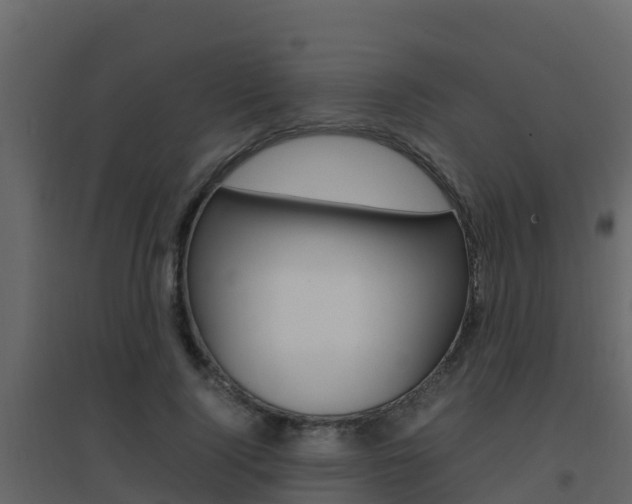 X0000096700740200802051101