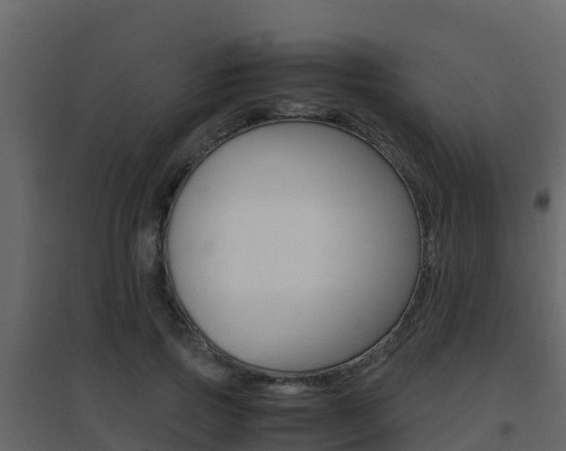 X0000096700741200802051101