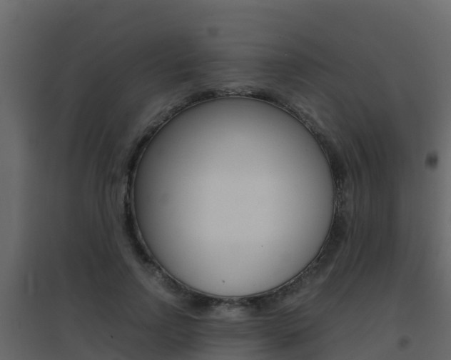 X0000096700742200802051101
