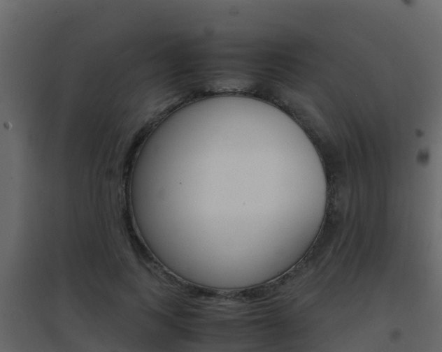 X0000096700743200802051101