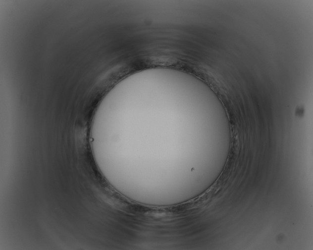 X0000096700745200802051101