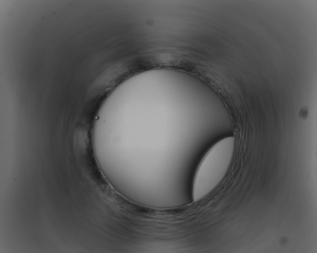 X0000096700746200802051101