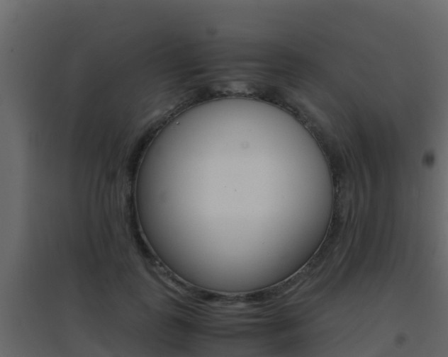 X0000096700747200802051101