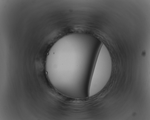 X0000096700751200802051101