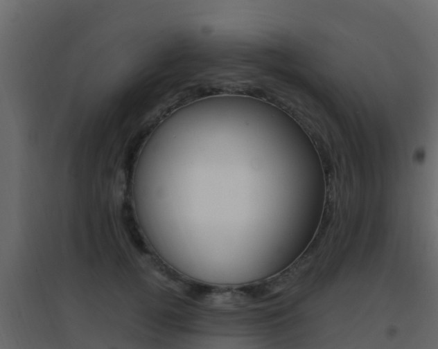 X0000096700752200802051101