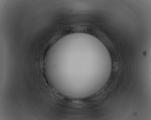 X0000096700753200802051101