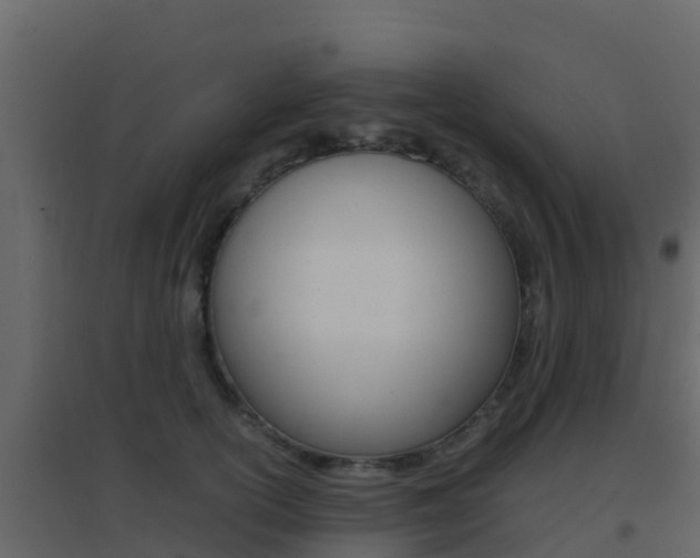 X0000096700754200802051101