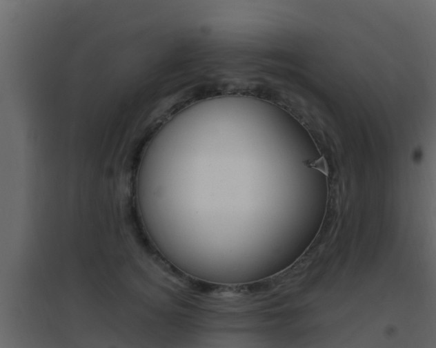 X0000096700756200802051101