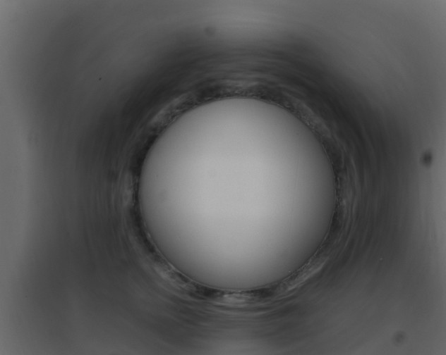 X0000096700758200802051101