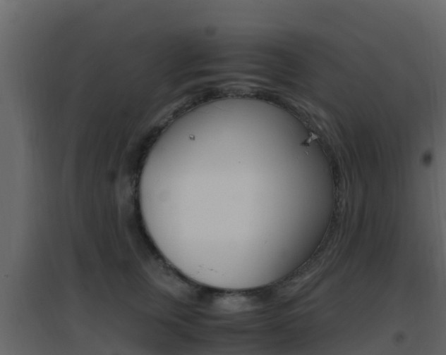 X0000096700759200802051101