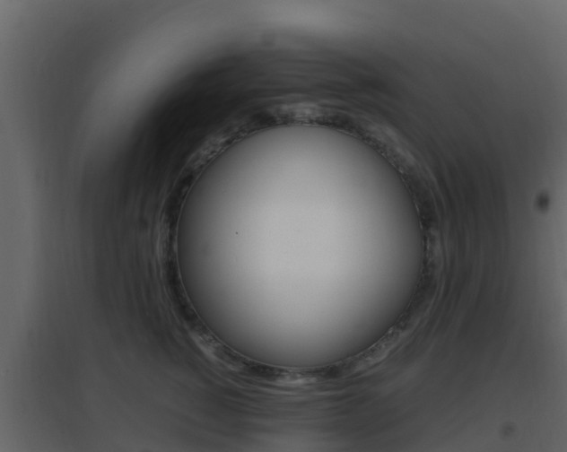 X0000096700760200802051101