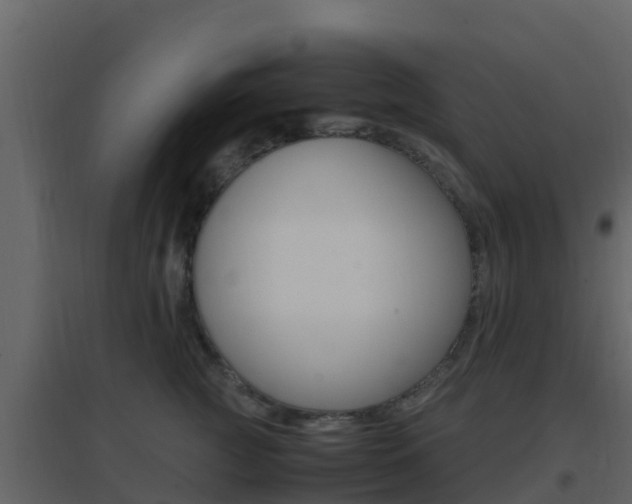 X0000096700761200802051101