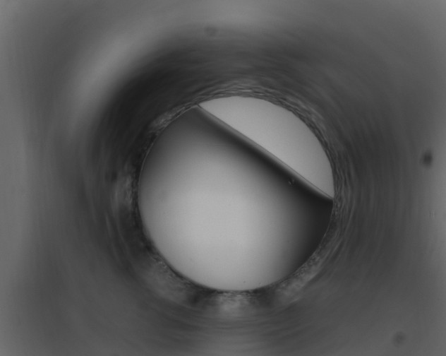 X0000096700762200802051101