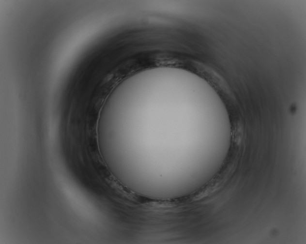X0000096700763200802051101