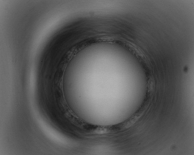 X0000096700764200802051101