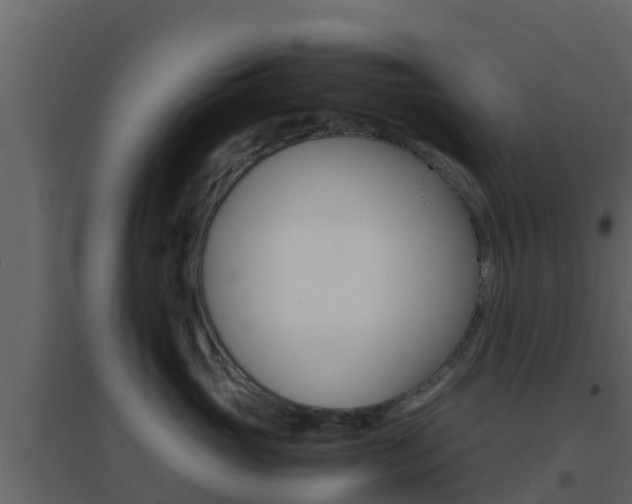 X0000096700765200802051101