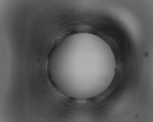X0000096700767200802051101