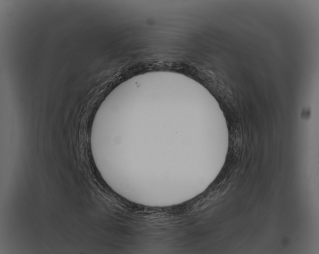 X0000096700769200802051100