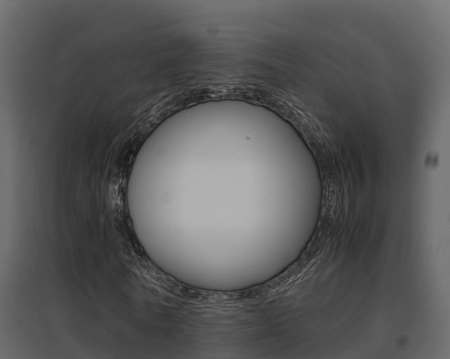 X0000096700770200802051100