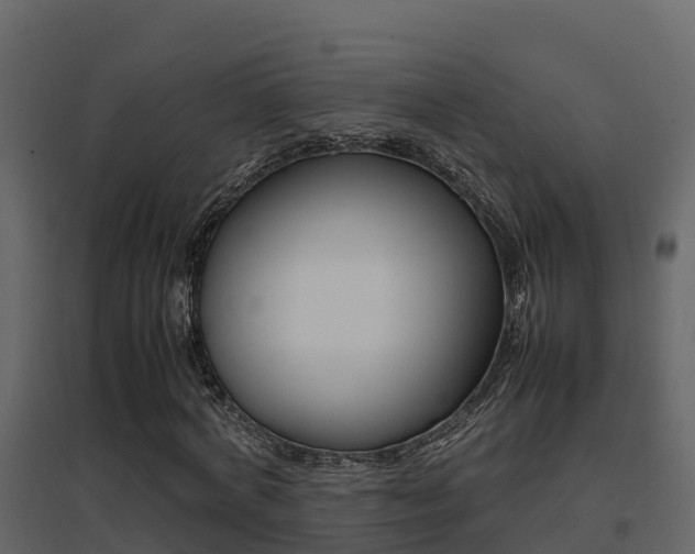 X0000096700772200802051100