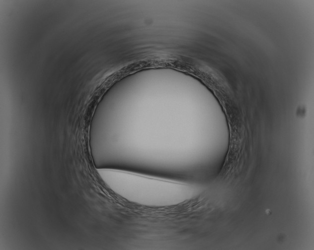 X0000096700773200802051100