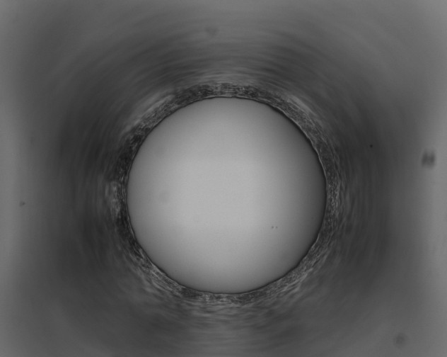 X0000096700774200802051100