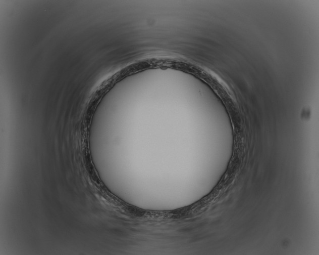 X0000096700775200802051100