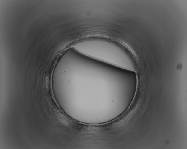 X0000096700777200802051100