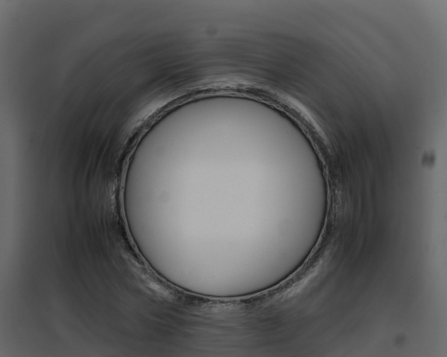 X0000096700778200802051100