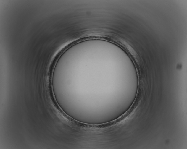 X0000096700779200802051100
