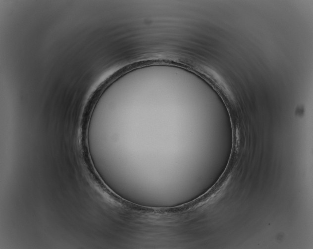 X0000096700780200802051100