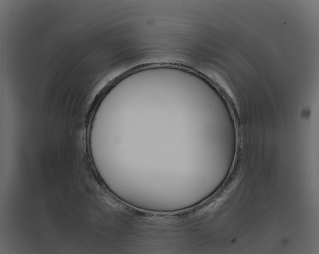 X0000096700781200802051100