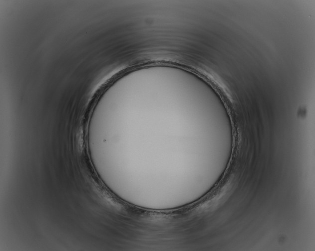 X0000096700782200802051100