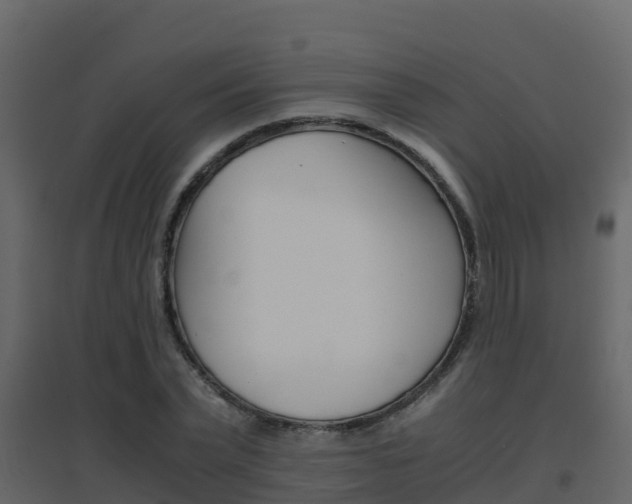 X0000096700783200802051100