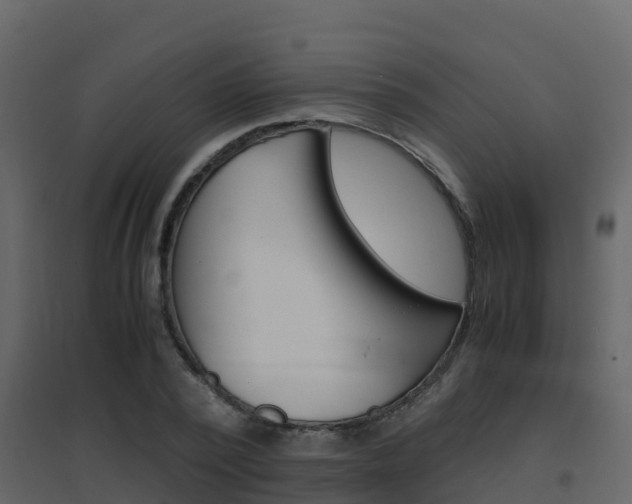 X0000096700784200802051100